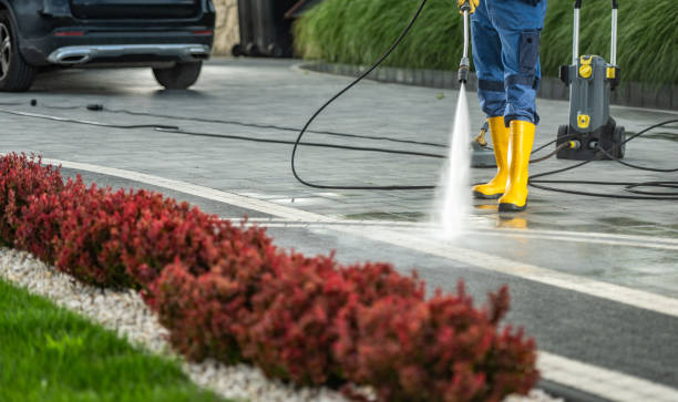 Best Driveway Pressure Washing  in South Congaree, SC